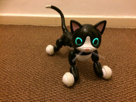 zoomer kitty liverpool